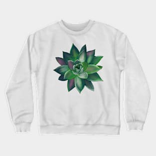 Colorful Succulent - Green and Pink Crewneck Sweatshirt